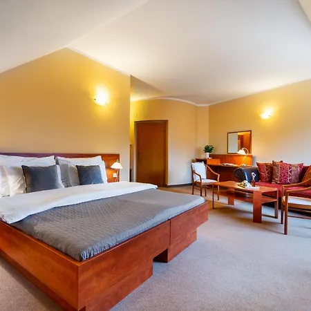 U Vlašského Dvora 3* Kutná Hora