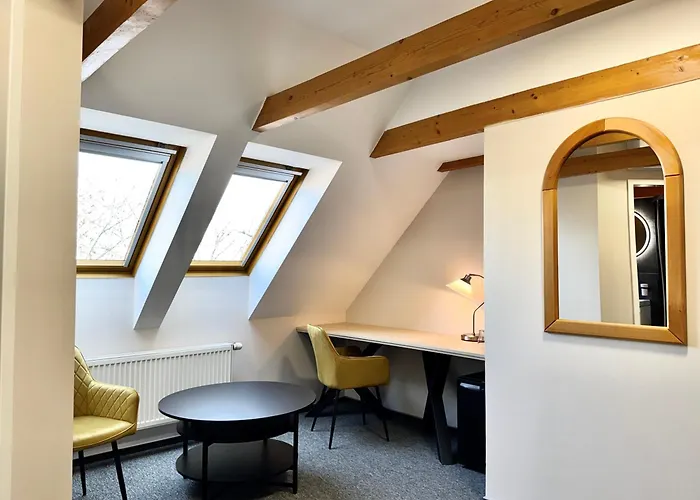 호텔 U Vlasskeho Dvora 3*