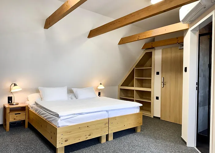 호텔 U Vlasskeho Dvora 3*