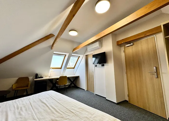 호텔 U Vlasskeho Dvora 쿤타호라